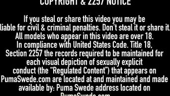 Blonde fake tits bitch Puma Swede shows sexual skills